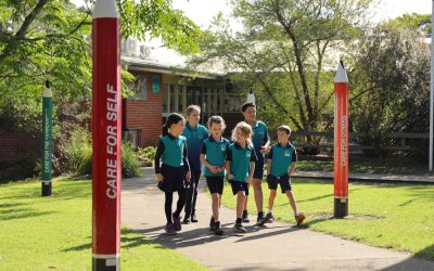 Ibis Flyer – August 2023